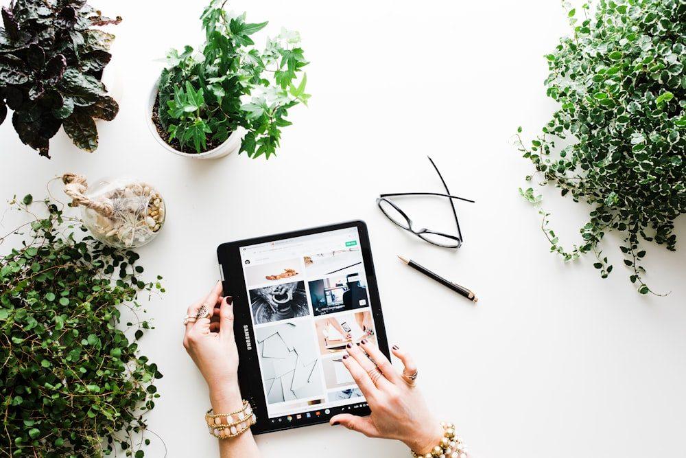 Designer reviewing branding mockups on a tablet surrounded by plants